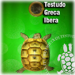 TG_Iberica150